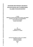 thesis  (Bivuti Shrestha).pdf.jpg